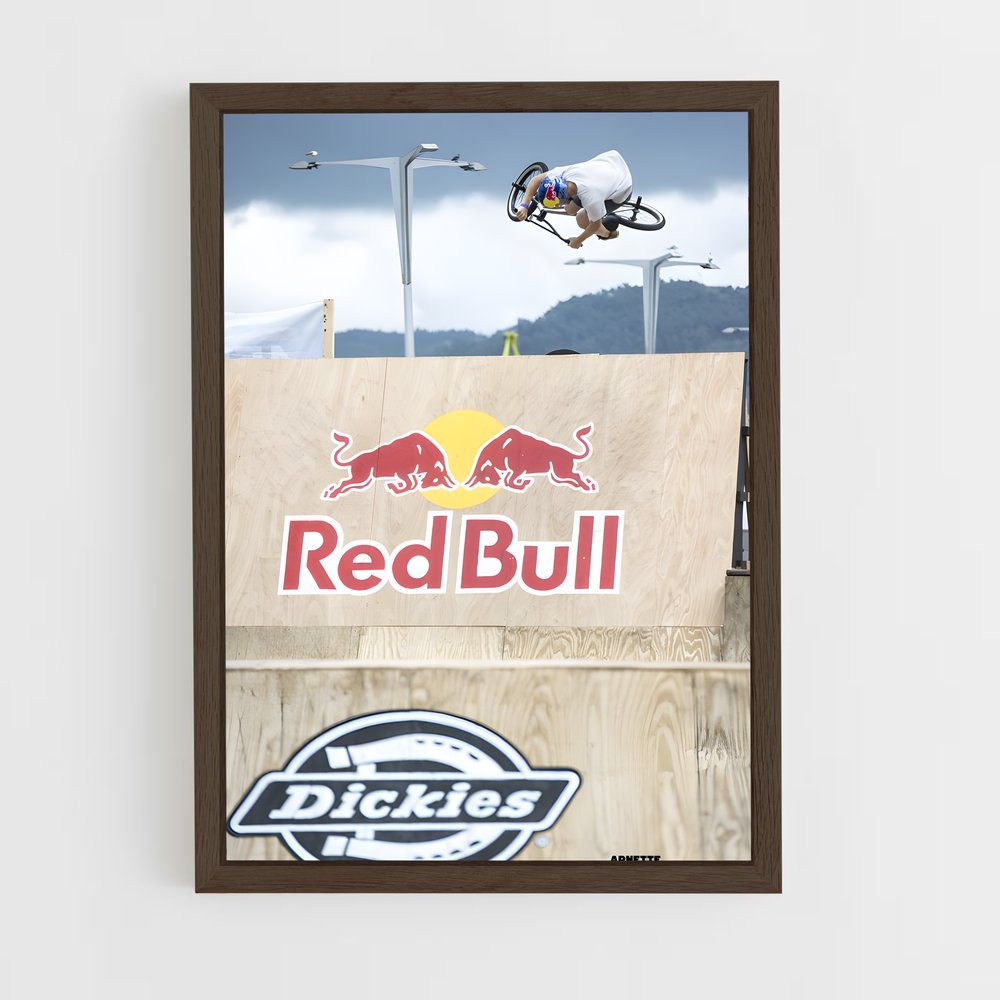 Poster Envol Urbain – affiche BMX (vue 5)